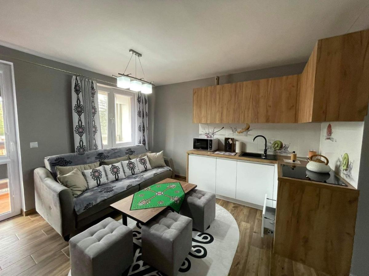 Apartamentylove - Apartament U Janicka, 100M Do Krupowek زاكوباني المظهر الخارجي الصورة